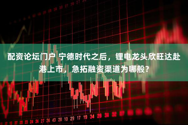 配资论坛门户 宁德时代之后，锂电龙头欣旺达赴港上市，急拓融资渠道为哪般？